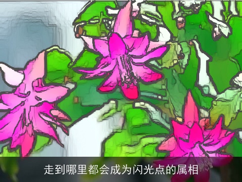 走到哪里都会成为闪光点的属相