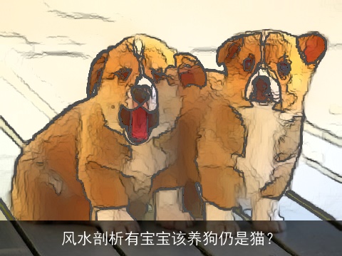 风水剖析有宝宝该养狗仍是猫？