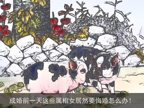 成婚前一天这些属相女居然要悔婚怎么办！