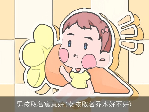 男孩取名寓意好(女孩取名乔木好不好)
