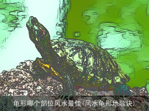龟形哪个部位风水最佳(风水龟形地歌诀)