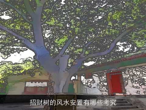 招财树的风水安置有哪些考究
