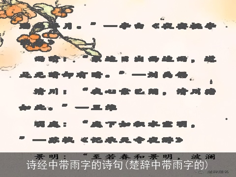 诗经中带雨字的诗句(楚辞中带雨字的)