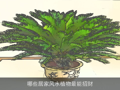 哪些居家风水植物最能招财