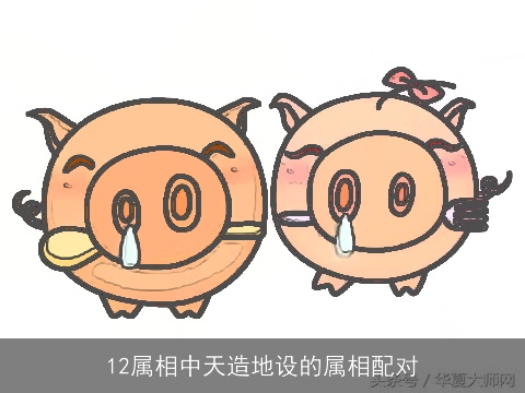 12属相中天造地设的属相配对