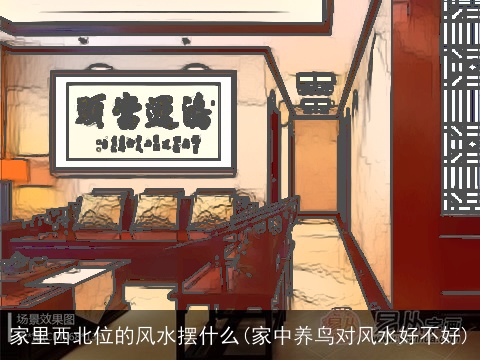 家里西北位的风水摆什么(家中养鸟对风水好不好)