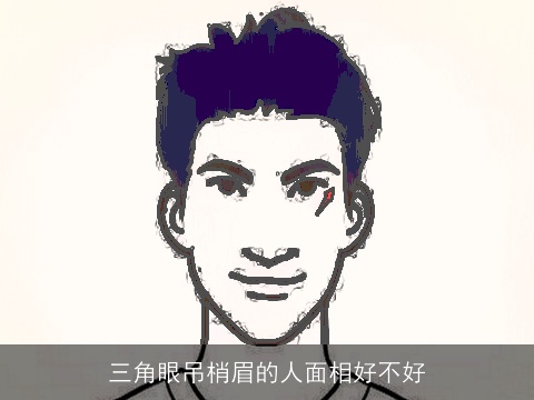 三角眼吊梢眉的人面相好不好