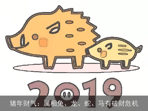 猪年财气：属相兔、龙、蛇、马有破财危机