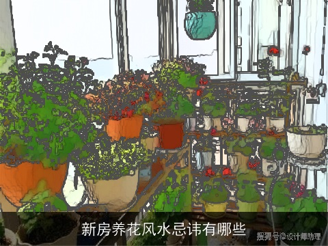 新房养花风水忌讳有哪些
