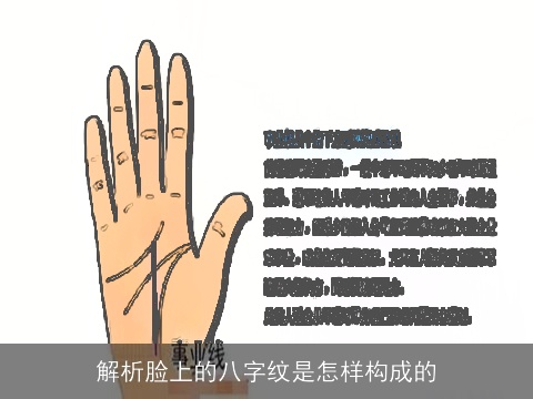 解析脸上的八字纹是怎样构成的