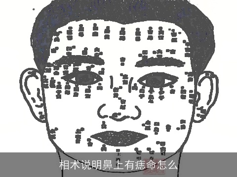 相术说明鼻上有痣命怎么