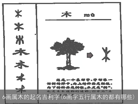 6画属木的起名吉利字(6画字五行属木的都有哪些)