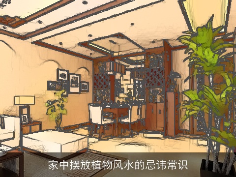 家中摆放植物风水的忌讳常识