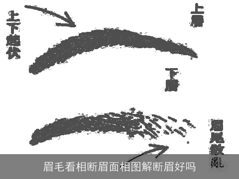 眉毛看相断眉面相图解断眉好吗