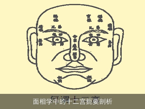 面相学中的十二宫扼要剖析