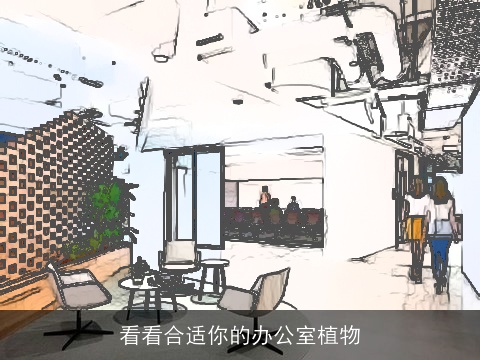 看看合适你的办公室植物