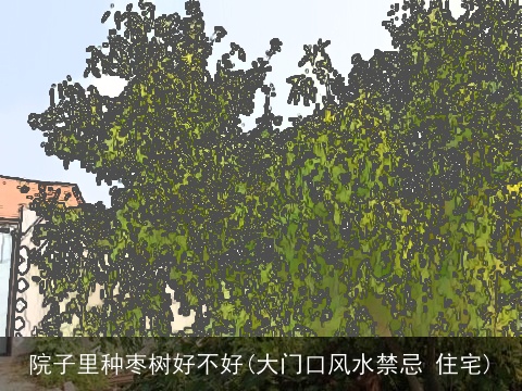 院子里种枣树好不好(大门口风水禁忌 住宅)