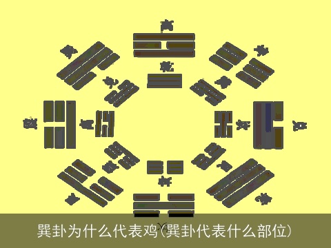 巽卦为什么代表鸡(巽卦代表什么部位)