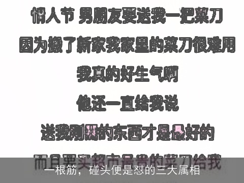 一根筋，碰头便是怼的三大属相