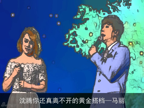 沈腾你还真离不开的黄金搭档—马丽