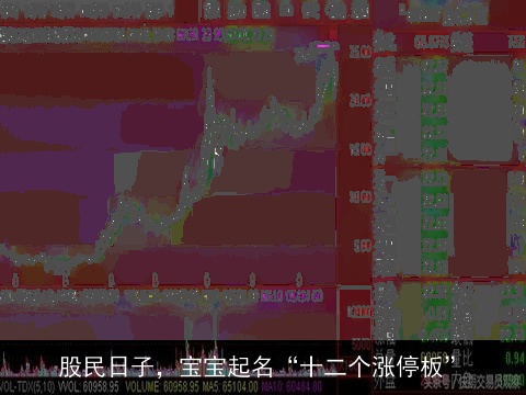 股民日子，宝宝起名“十二个涨停板”