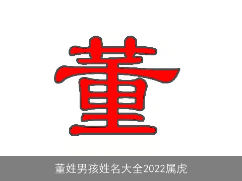 董姓男孩姓名大全2022属虎