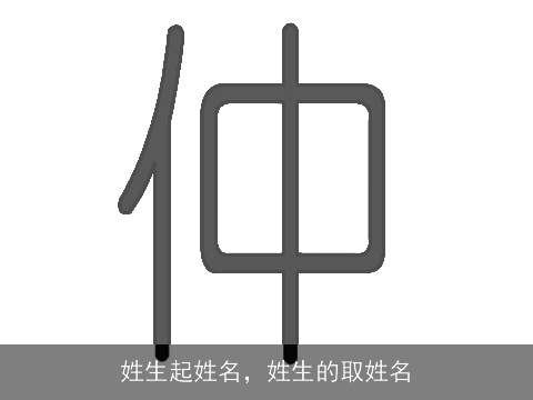 姓生起姓名，姓生的取姓名