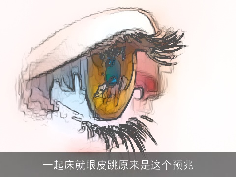 一起床就眼皮跳原来是这个预兆