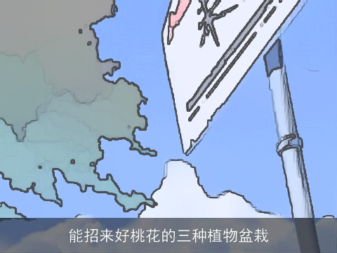 能招来好桃花的三种植物盆栽