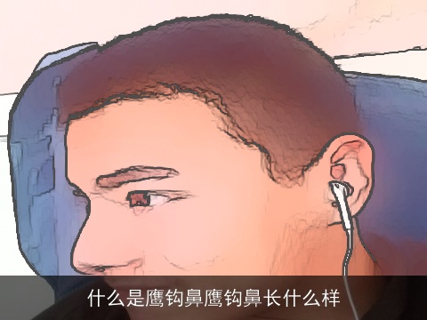 什么是鹰钩鼻鹰钩鼻长什么样