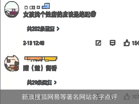 新浪搜狐网易等著名网站名字点评