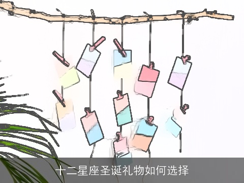 十二星座圣诞礼物如何选择