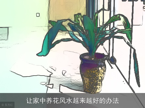 让家中养花风水越来越好的办法