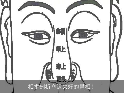 相术剖析命运欠好的鼻相！