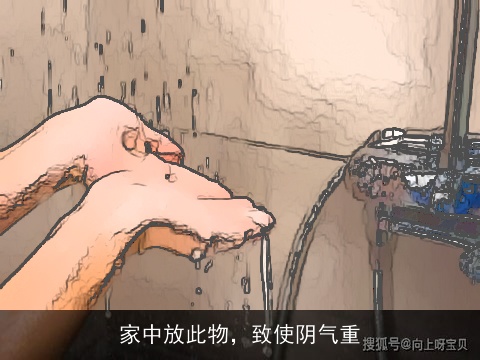 家中放此物，致使阴气重