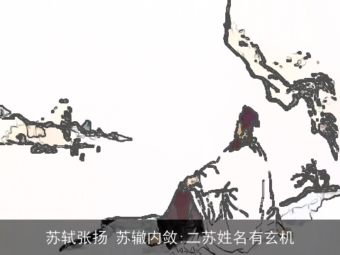 苏轼张扬 苏辙内敛:二苏姓名有玄机