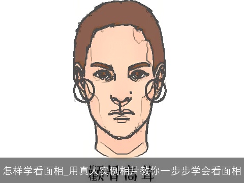 怎样学看面相_用真人实例相片教你一步步学会看面相
