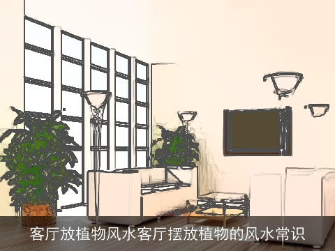客厅放植物风水客厅摆放植物的风水常识