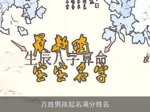 万姓男孩起名满分姓名