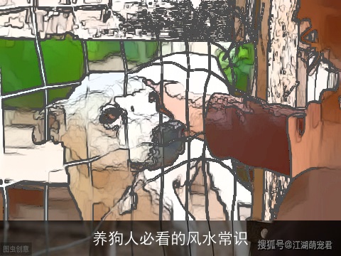 养狗人必看的风水常识