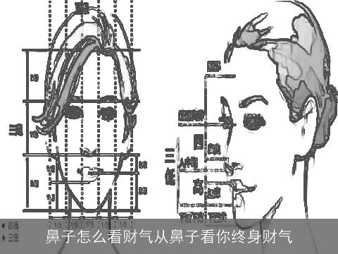 鼻子怎么看财气从鼻子看你终身财气
