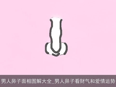 男人鼻子面相图解大全_男人鼻子看财气和爱情运势