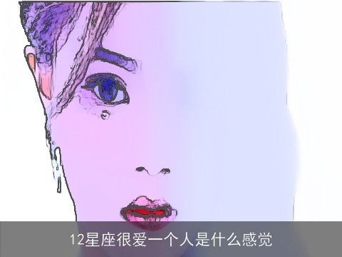 12星座很爱一个人是什么感觉