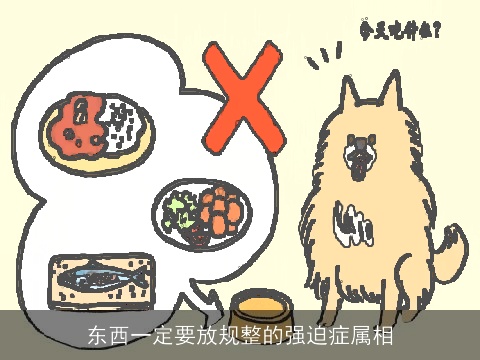 东西一定要放规整的强迫症属相