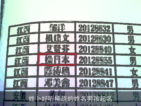 姓卜好听稀疏的姓名男孩起名