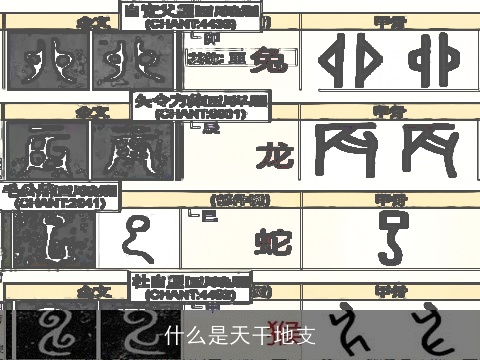 什么是天干地支