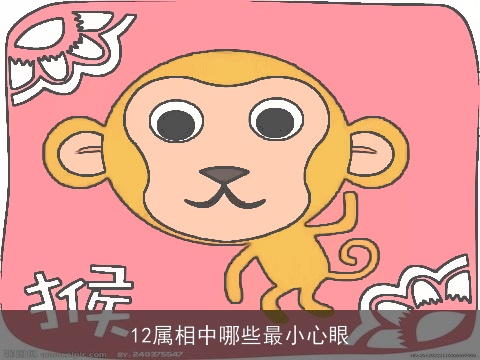 12属相中哪些最小心眼