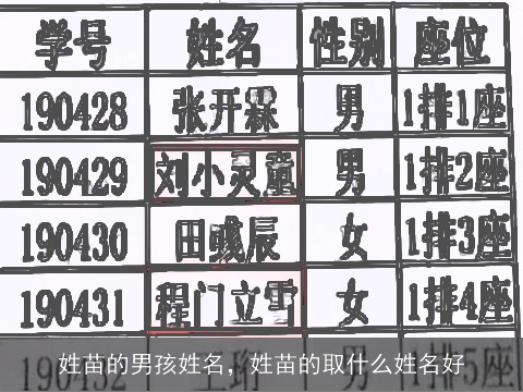 姓苗的男孩姓名，姓苗的取什么姓名好