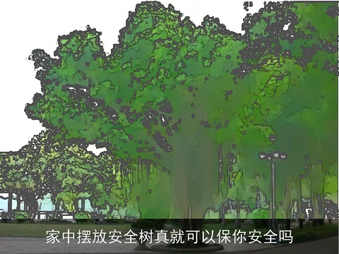 家中摆放安全树真就可以保你安全吗