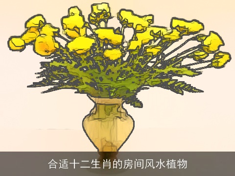 合适十二生肖的房间风水植物